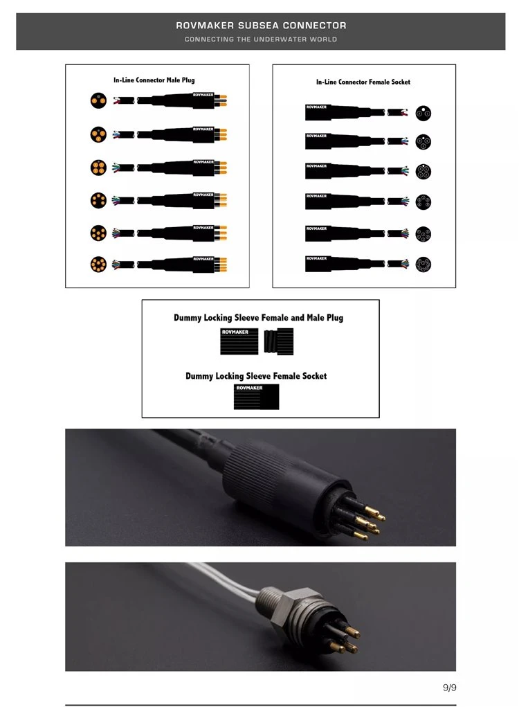 1 (6)
