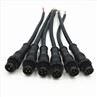 field wireable m12